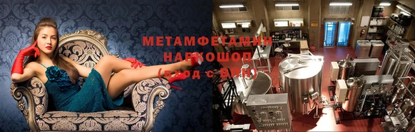ПСИЛОЦИБИНОВЫЕ ГРИБЫ Гусиноозёрск